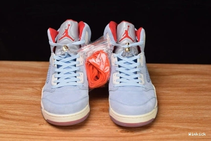 CI1899-400 "ICE AIR JORDAN ROOM RETRO BLUE" 5 TROPHY X 0726